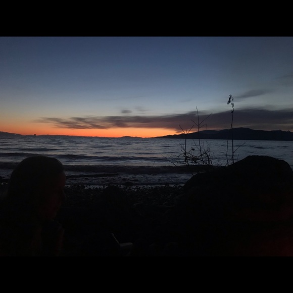 Meet your Posher, Jessie - Picture 1 of 1